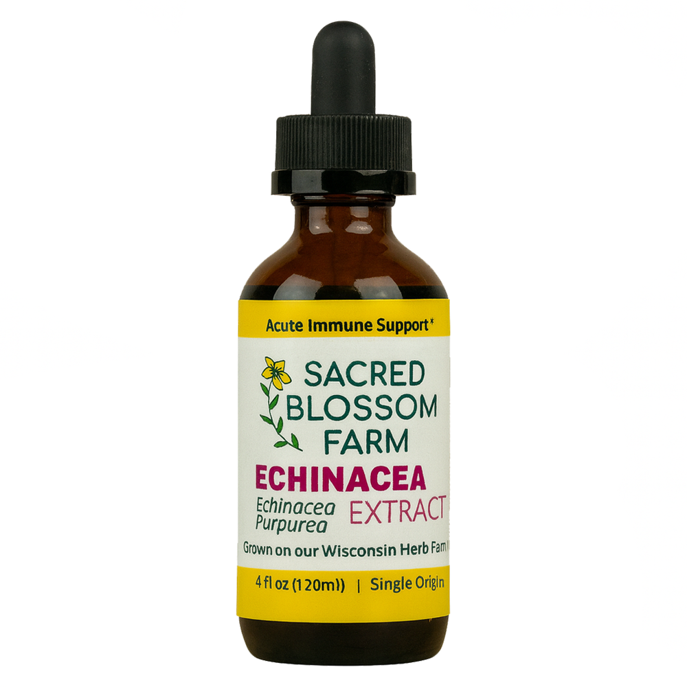 Farm Fresh Echinacea Purpurea Extract — Sacred Blossom Farm